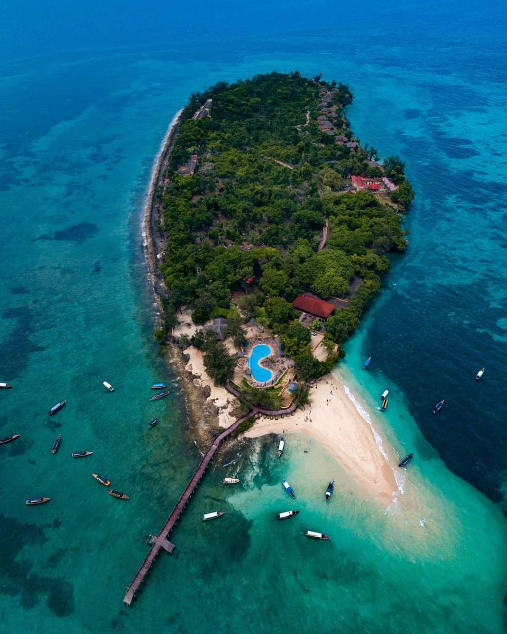 Prison Island - Journey of Light Adventures Zanzibar